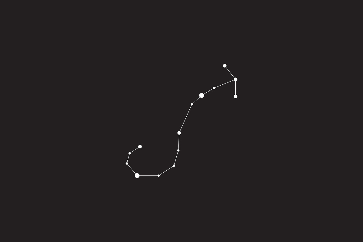 12 Vector Constellation Signs, an Illustration by Kessens (Photo 10 of 12)