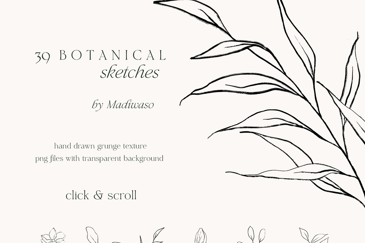 Minimalist floral botanical line art, a Decorative Illustration by Madiwaso (Photo 5 of 9)