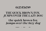 Motey – Modern Elegant Serif Display, a Font by Nollev (Thumbnail 8 of 9)