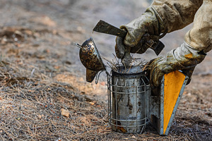 Beekeeper preparing a smoker in a na, an Industrial Photo by Perpis