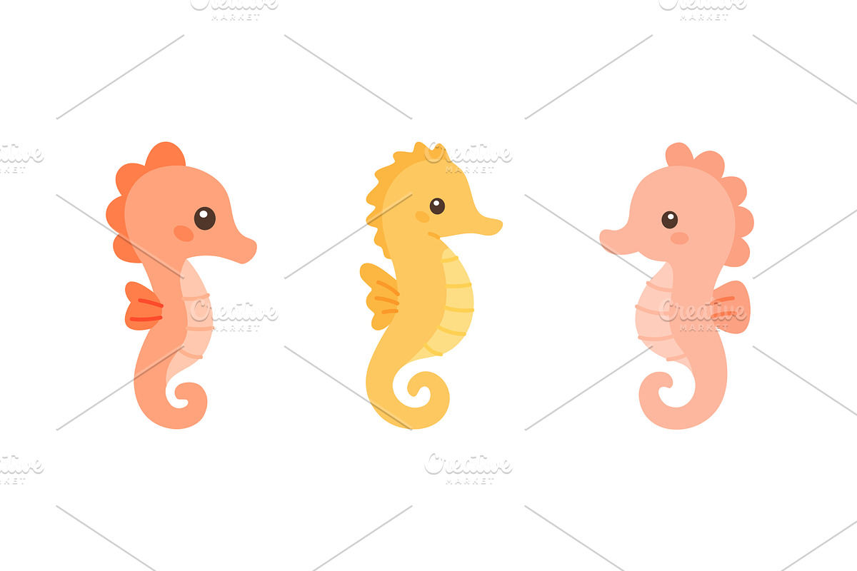 Colorful cartoon seahorse set in, an Animal Illustration by GraphiShop