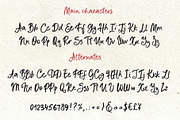 Whimsical font script Fichi Capri, a Script Font by TD fonts (Thumbnail 8 of 11)