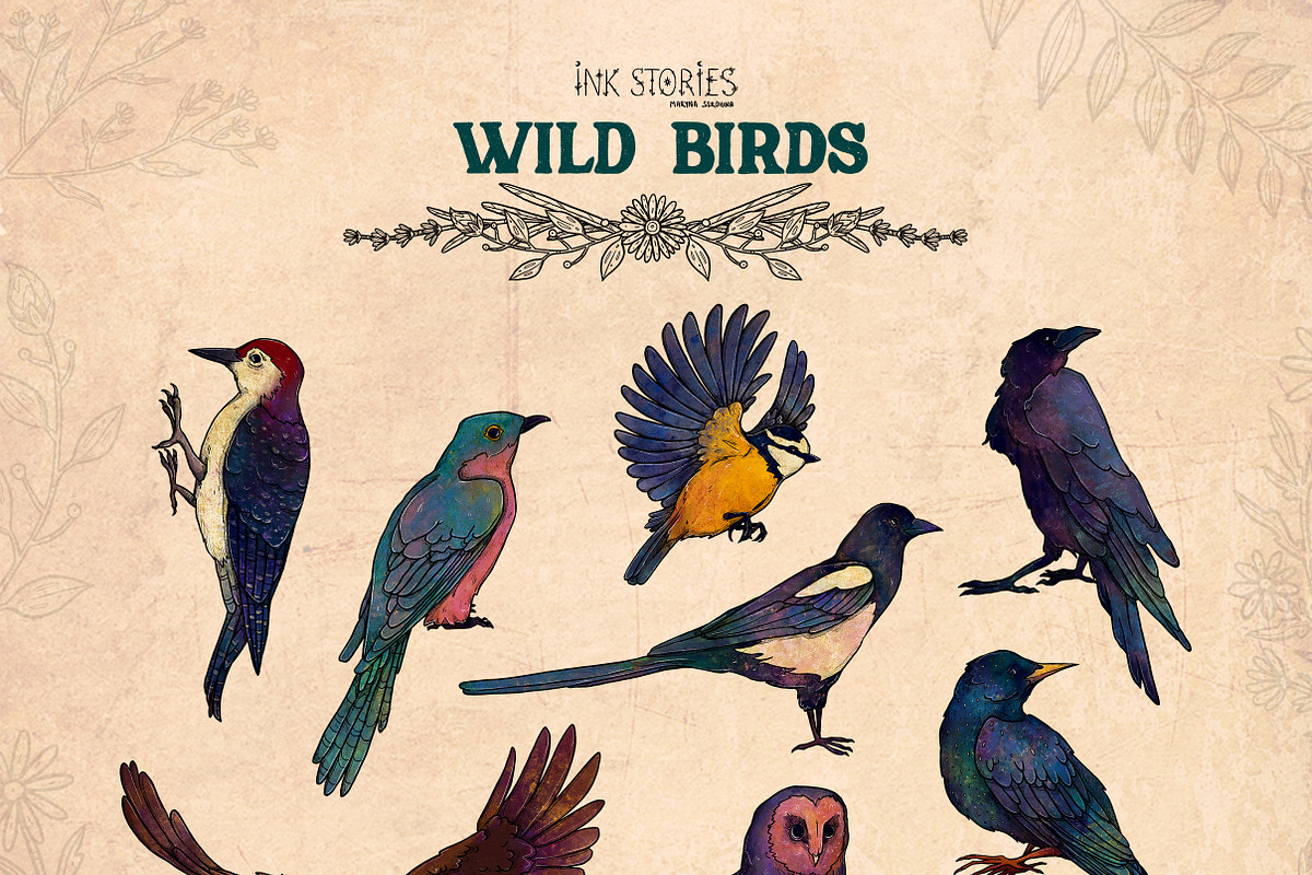 Wild Birds, an Animal Illustration by Ink Stories (Photo 3 of 20)
