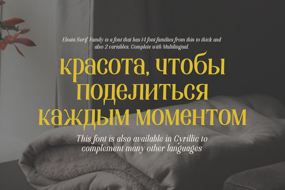 Elsain - Serif Font (16 Fonts), a Serif Font by Maculinc Type (Photo 6 of 11)