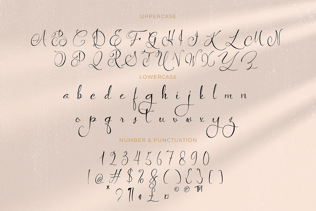 Raleaty Kingston – Timeless Elegant, a Script Font by Haps Space (Photo 6 of 10)