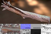 Dead Tree, an Environmental 3D Model by Beatheart Creative Studio (Thumbnail 3 of 15)
