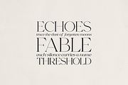 Norelli – A Modern Serif Typeface, a Serif Font by Only Fonts (Thumbnail 9 of 11)