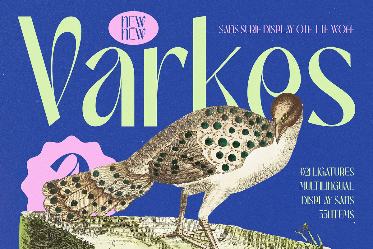Varkes Elegant Display Typeface, a Sans Serif Font by timelesstype.co (Photo 1 of 15)