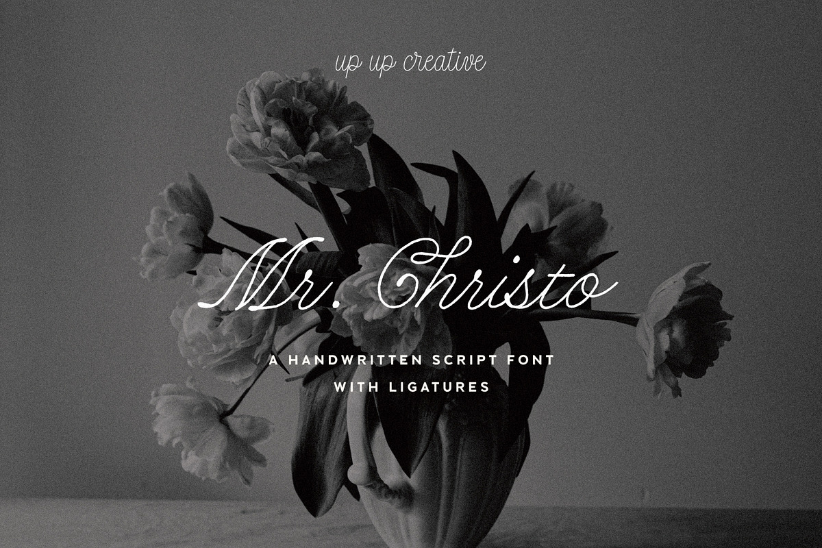 Mr Christo Calligraphy Script Font, a Script Font by Up Up Creative (Photo 1 of 16)