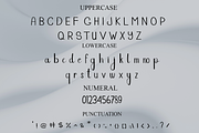 Saturday, a Handwritten Font by FreshTypeINK (Thumbnail 3 of 8)