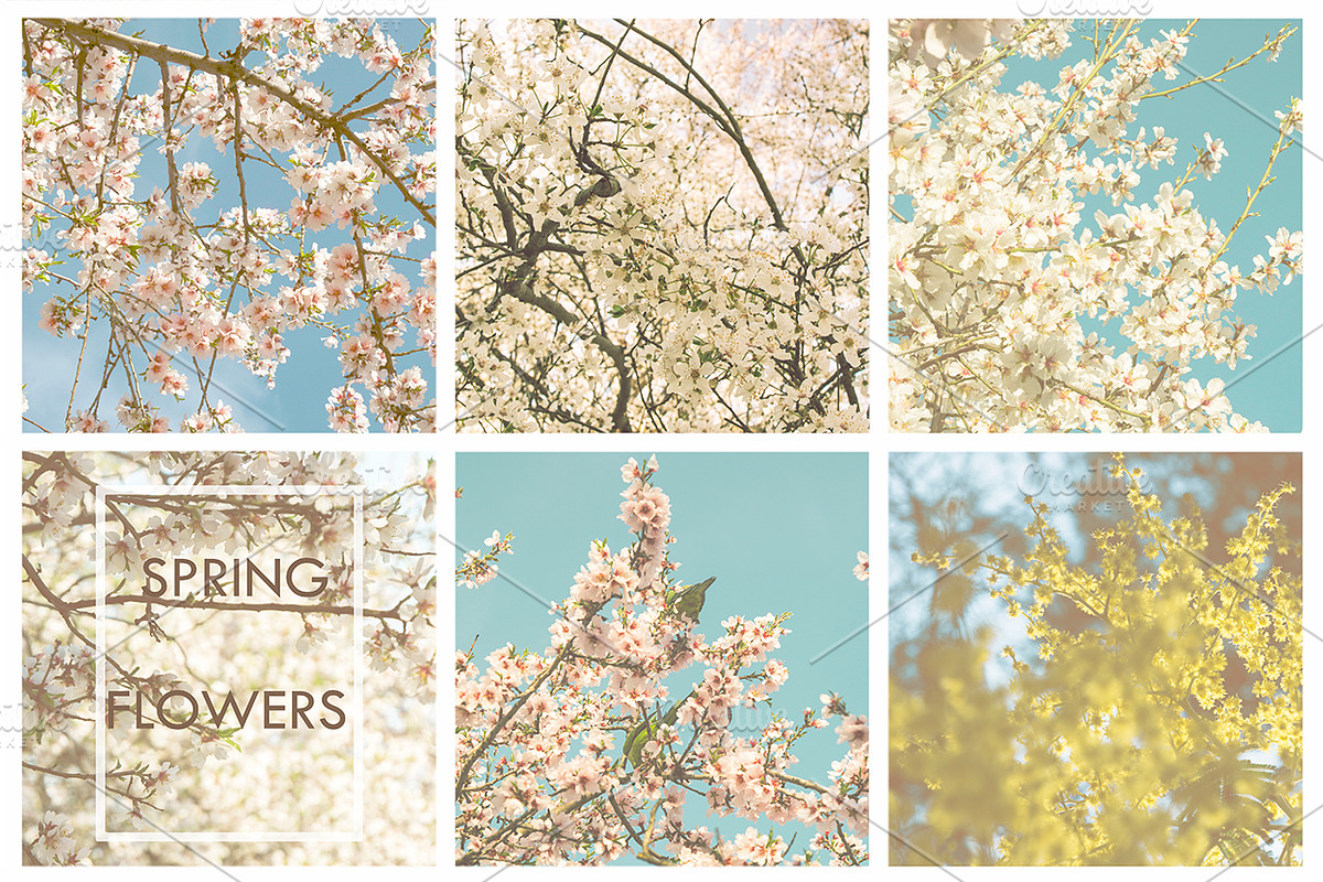 Stock Image Bundle, spring flowers, a Mockup by JAY MID IMAGE (Photo 4 of 6)