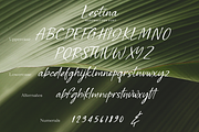Lestina, a Script Font by Larin Type Co. (Thumbnail 10 of 10)