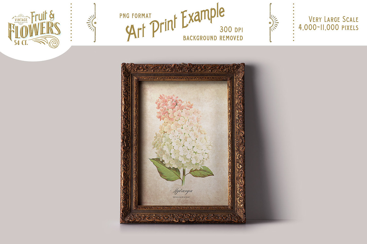MASSIVE Vintage Fruit and Flowers, an Object Graphic by Eclectic Anthology (Photo 12 of 12)
