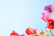 20 Easter Stock Photos - 81% OFF, a Holiday Photo by Lightstock (Thumbnail 18 of 19)
