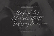 Bella Luna | Feminine Script Font, a Script Font by Pink Coffie (Thumbnail 10 of 30)