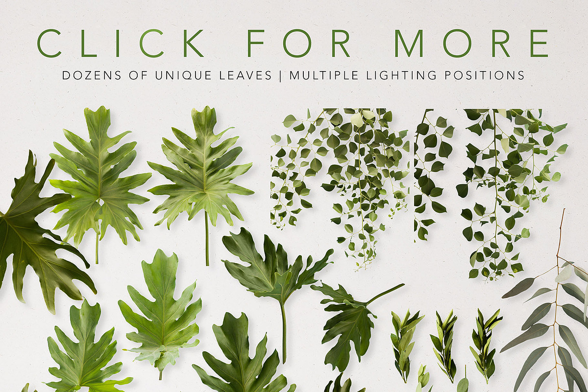 Real Leaves - Green Cutout Leaf, an Object Graphic by Fox & Bear (Photo 2 of 6)