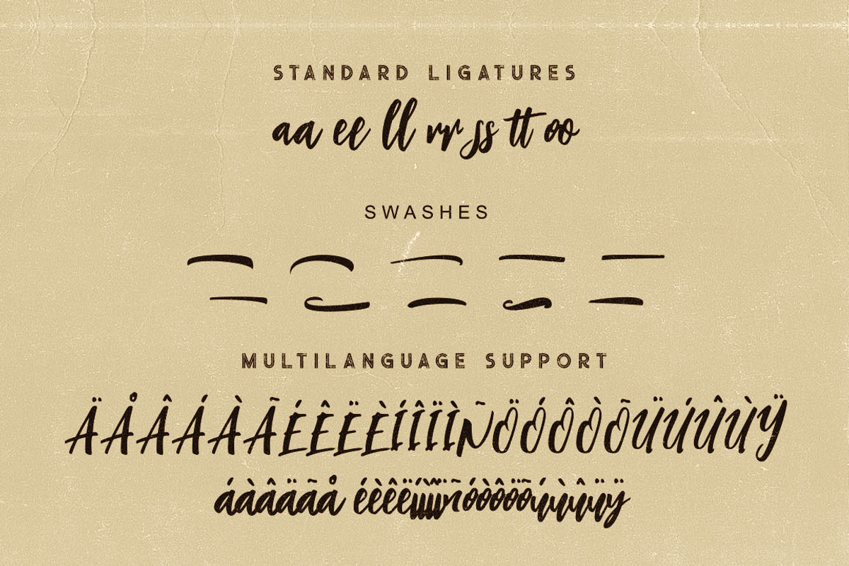 Charlie Script Font preview 8