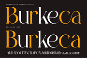 Lawsin Modern Serif Typeface Font, a Serif Font by catalystco.studio (Thumbnail 4 of 11)