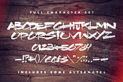 Brother Nature, a Script Font by Sam Parrett (Thumbnail 5 of 5)