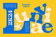 Lunavie – Bold Serif, a Serif Font by Craft Supply Co. (Thumbnail 3 of 8)