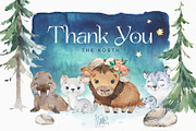 The North. Watercolor Collection, an Animal Illustration by StarJam (Thumbnail 8 of 8)