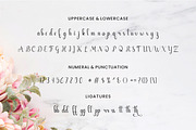 Jonathan Smith Script Font, a Script Font by BOOSH Studio (Thumbnail 8 of 11)