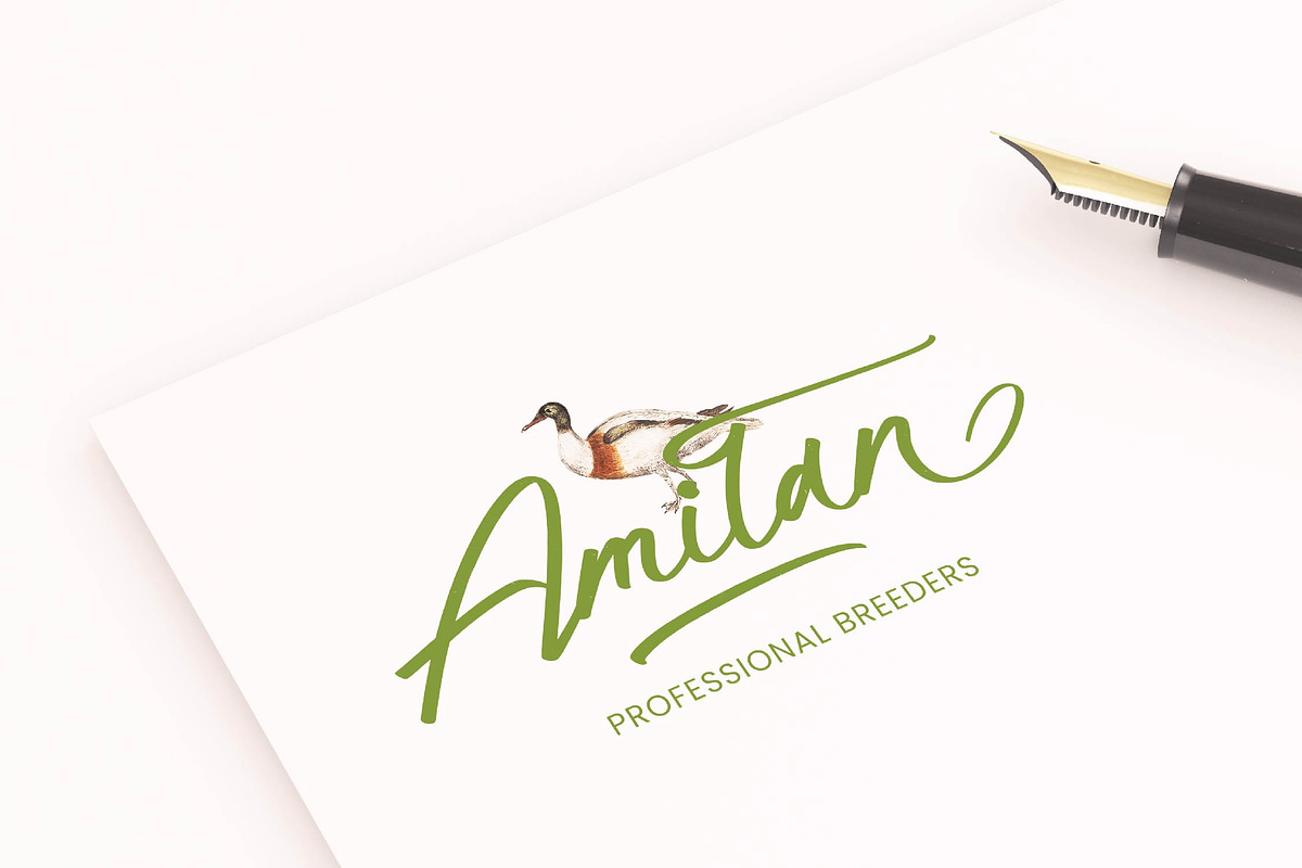 Hulatin Modern Brush Script, a Script Font by stylishtype.co (Photo 4 of 20)