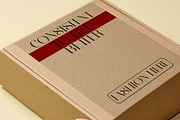Ravlys - Classy serif, a Serif Font by ToniStudio (Thumbnail 11 of 11)
