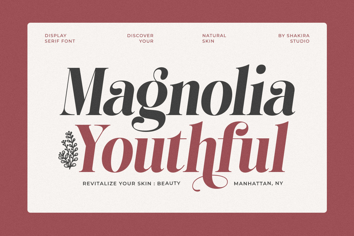 Alissha Bright - Modern Serif, a Serif Font by Shakira Studio (Photo 4 of 10)