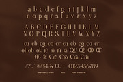 Mugola Modern Serif Font, a Serif Font by Graphicxell (Thumbnail 8 of 8)