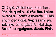 Binocular Sans Font Family, a Sans Serif Font by IRL by Outfit (Thumbnail 8 of 26)