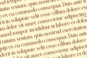 Velrasca - Serif Typeface Font, a Serif Font by Rishsketch (Thumbnail 10 of 15)