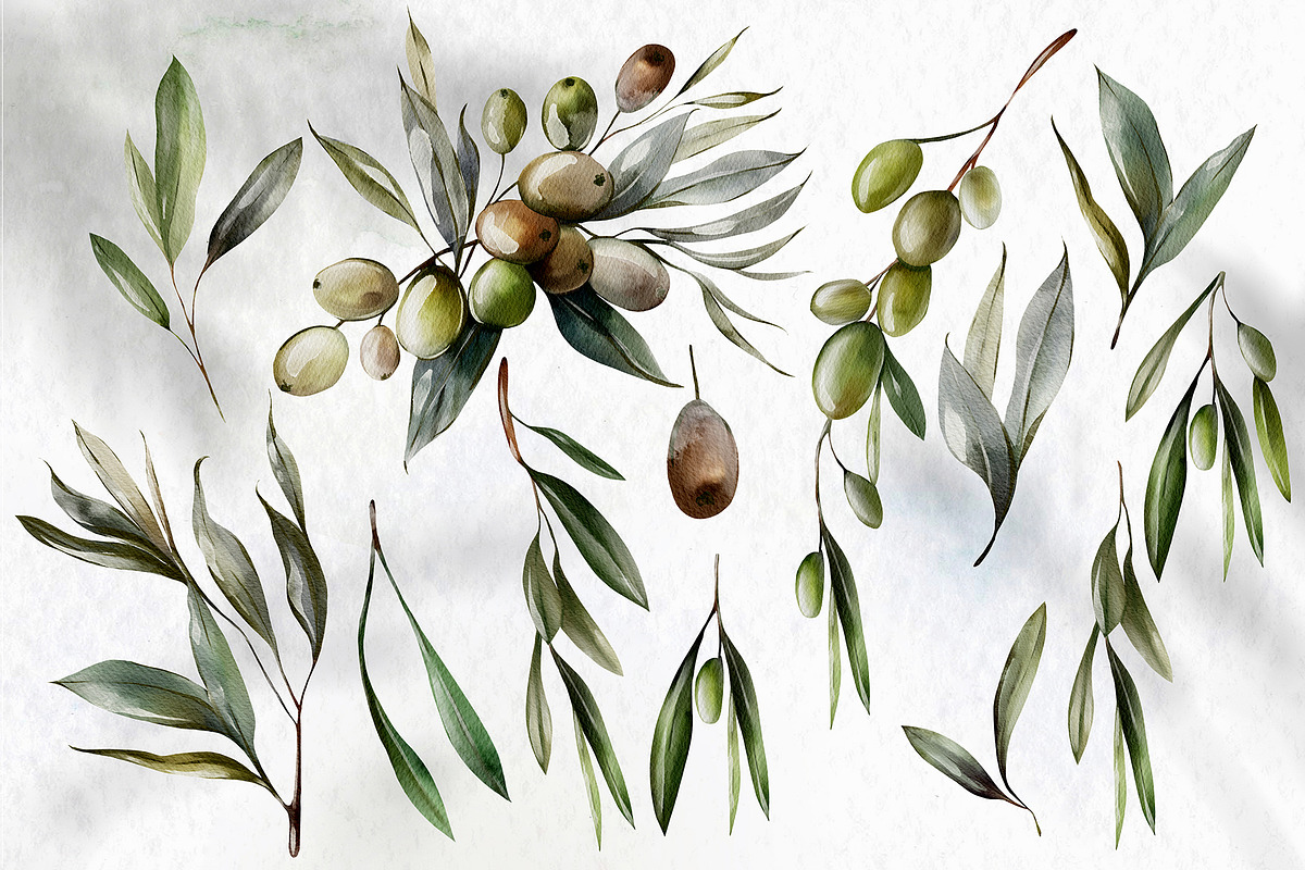 Watercolor Olives & Lemons, an Object Graphic by Knopazyzy (Photo 4 of 6)
