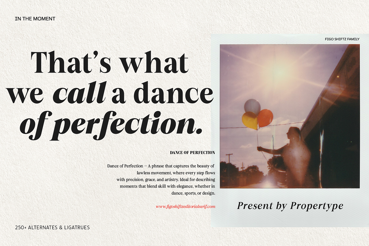 Figo Shiftz, a Serif Font by Propertype (Photo 4 of 13)