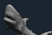 3DRT - Sealife - Shark, an Animal 3D Model by 3DRT.com (Thumbnail 3 of 3)