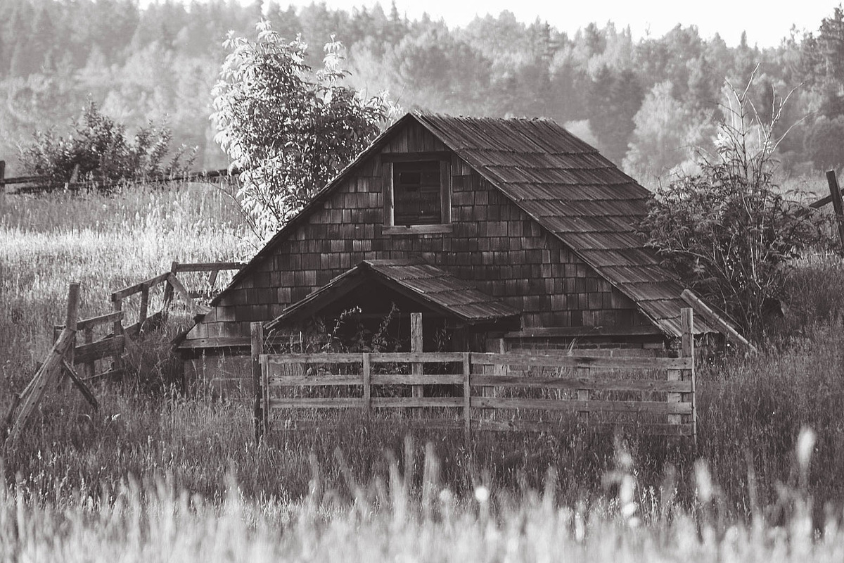 162 Landscape Presets Bundle preview 5