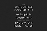 Mary Folland Condensed Serif, a Serif Font by Cruzine (Thumbnail 5 of 8)