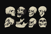Vector Skulls | Illustration set, a Texture Illustration by GRPXSTORE (Thumbnail 2 of 3)
