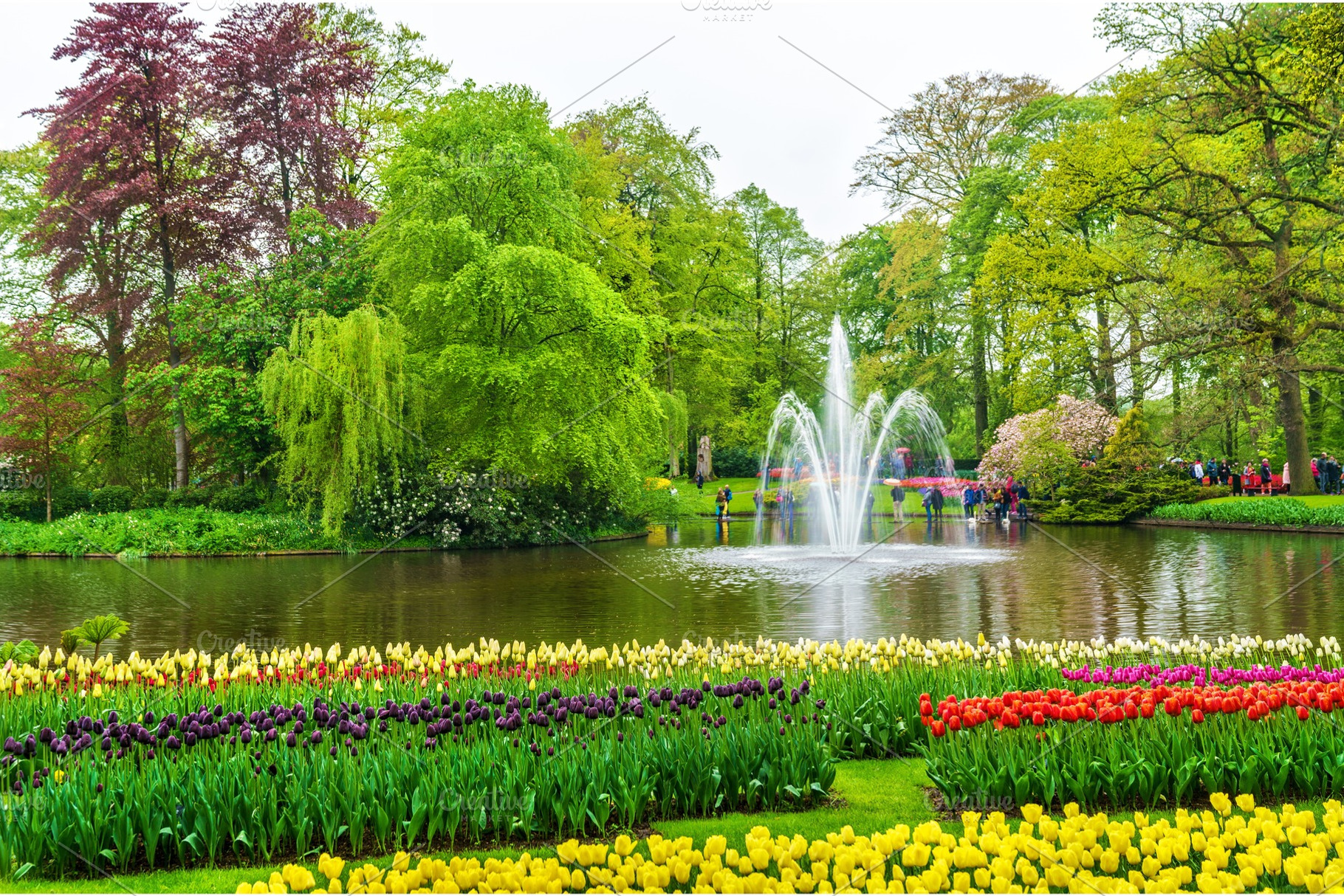 View of Keukenhof Garden, also known as the Garden of Europe, in the, a Nature Photo by Leonid Andronov