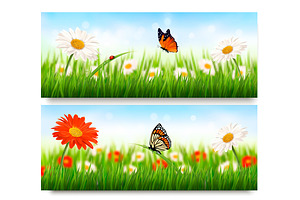 Summer Nature Banners