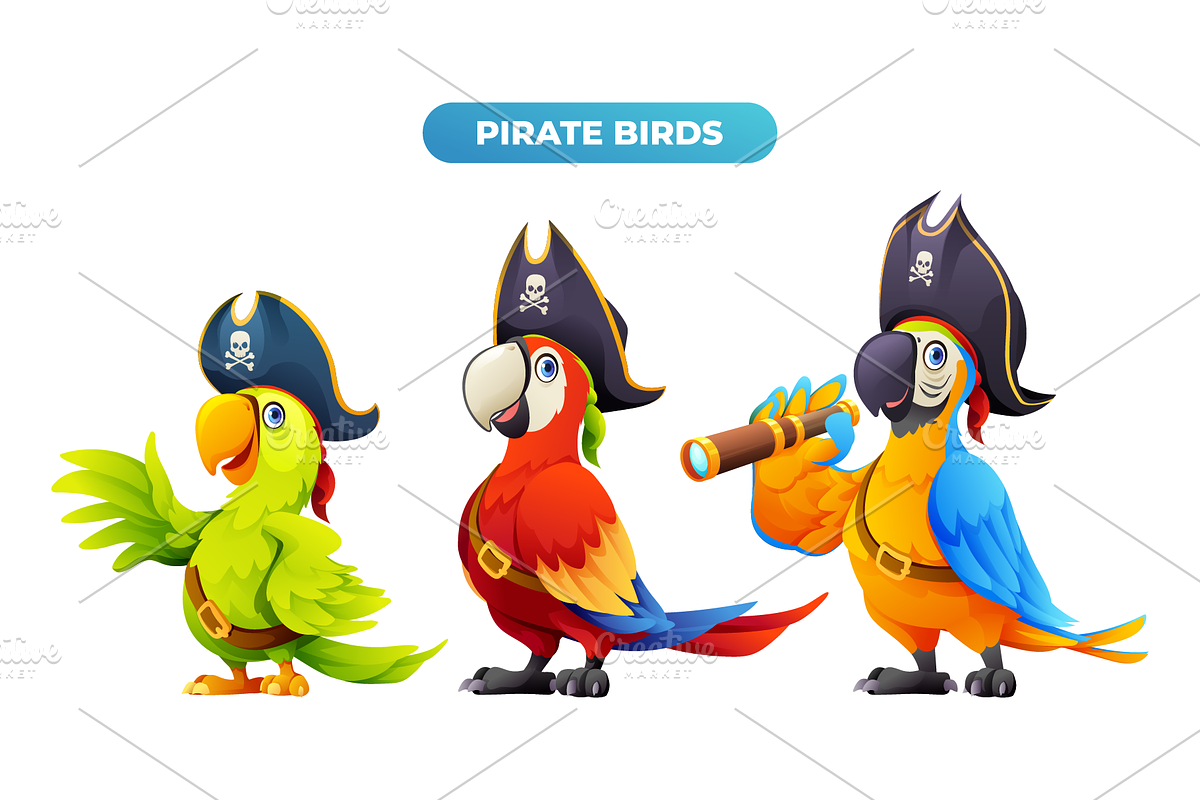 Pirate Collection, a Person Illustration by YG Studio (Photo 5 of 6)