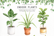 Indoor Plants Watercolor Clipart, an Illustration by everysunsun (Thumbnail 4 of 5)