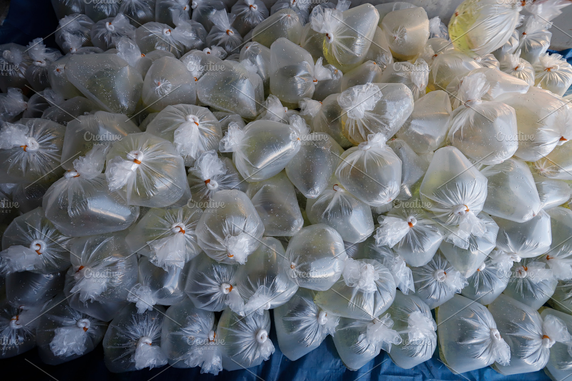 Plastic Bags Filled with Fish, an Industrial Photo by bastera