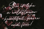 Dreaming Of Spring Stylish Font Duo, a Sans Serif Font by SilverStag Type Foundry (Thumbnail 21 of 23)