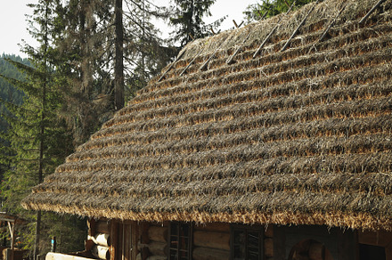 Old Ukrainian house in mountain resort park in autumn season, a Nature Photo by AtlasStudio PRO