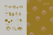 Magnificent Mushrooms, a Food Illustration by Annakniaz (Thumbnail 5 of 15)