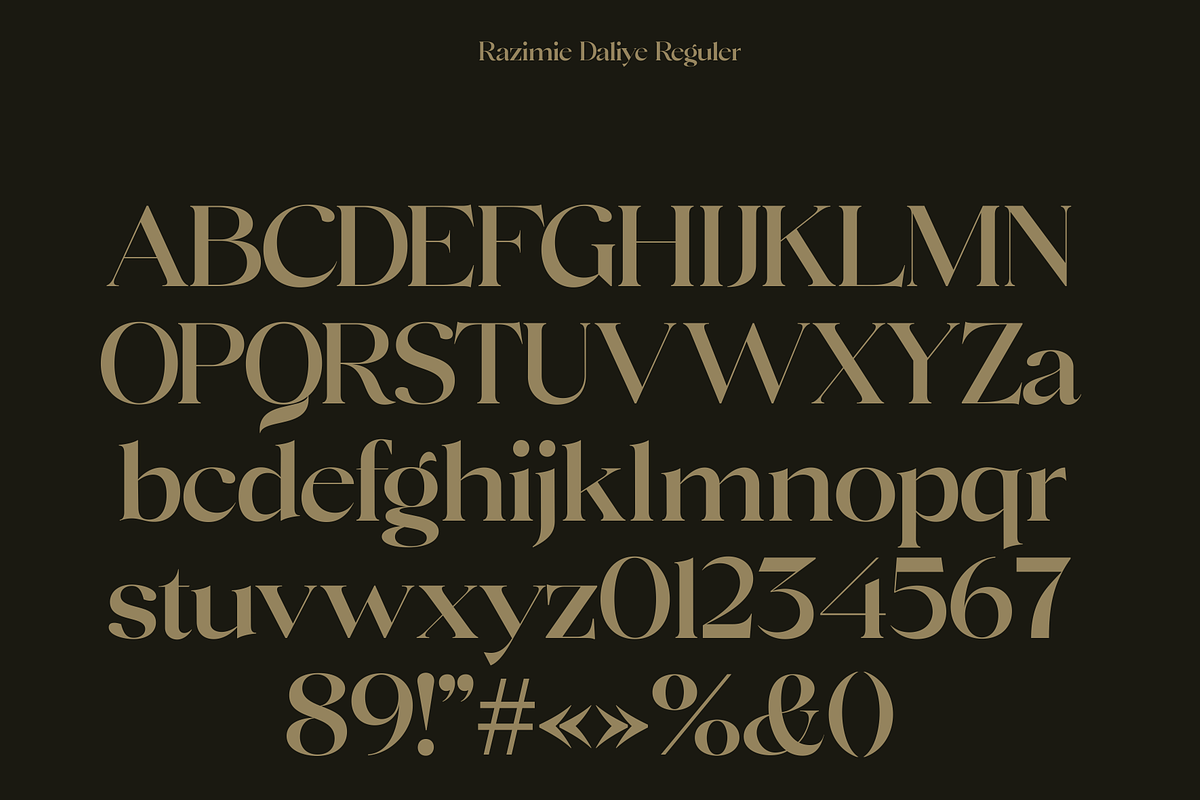 Razimie Daliye - Display Serif Font, a Serif Font by Marvadesign (Photo 8 of 9)