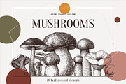 Vector Mushroom Sketches Set, a Seasonal Illustration by Yevheniia (Thumbnail 1 of 7)