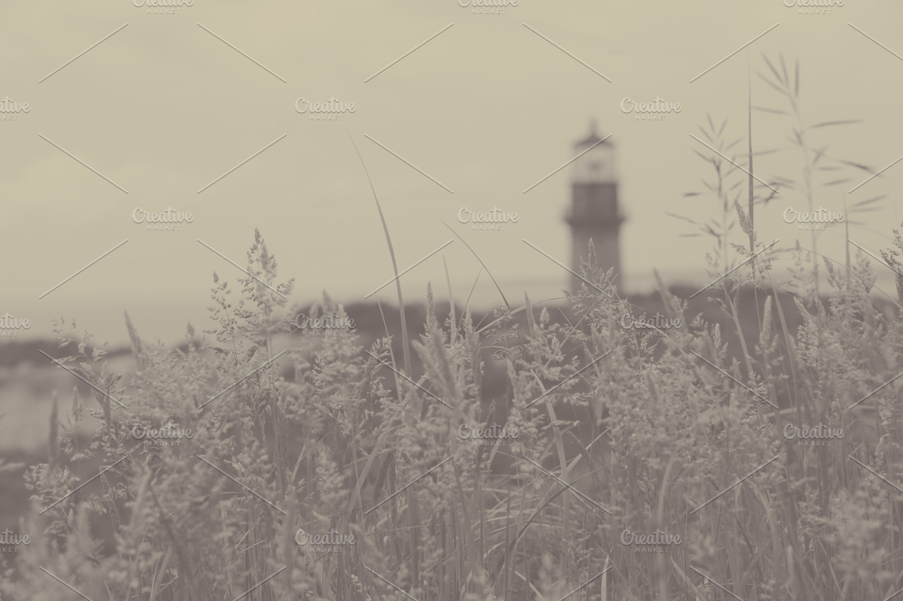 Light House Featuring Light House Tall Grass And Ocean