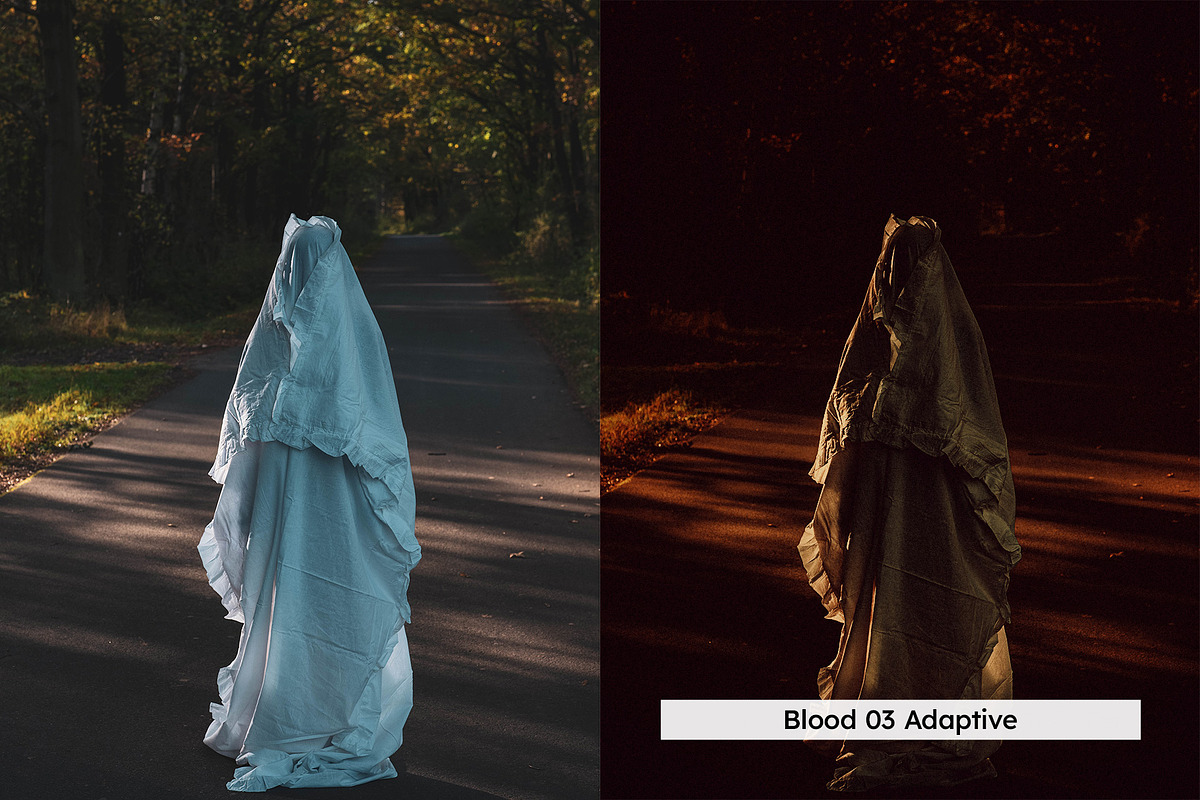 20 Haunted Lightroom Presets and LUT, a Preset Add-On by SparkleStock (Photo 5 of 16)